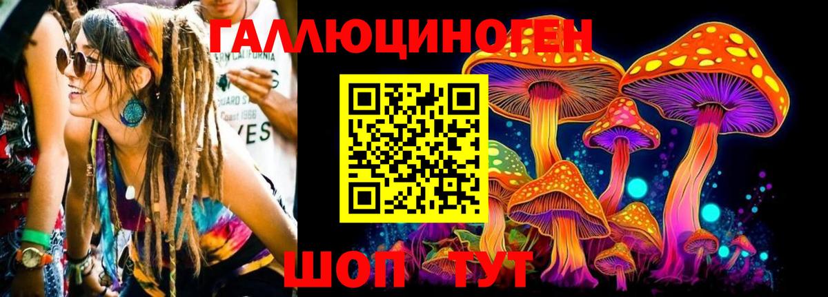 Псилоцибиновые грибы Psilocybe  Вход с VPN  Городец 