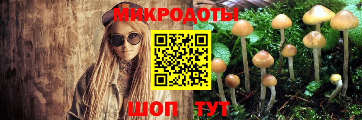Галлюциногенные грибы Psilocybine cubensis Городец